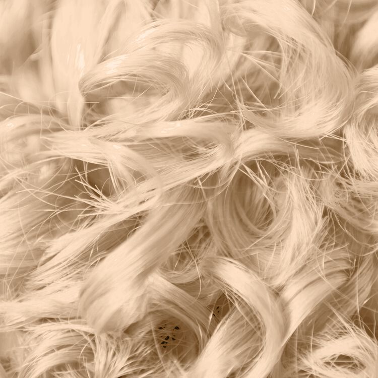 10G Lightest Golden Blonde Permanent Liquid Hair Color