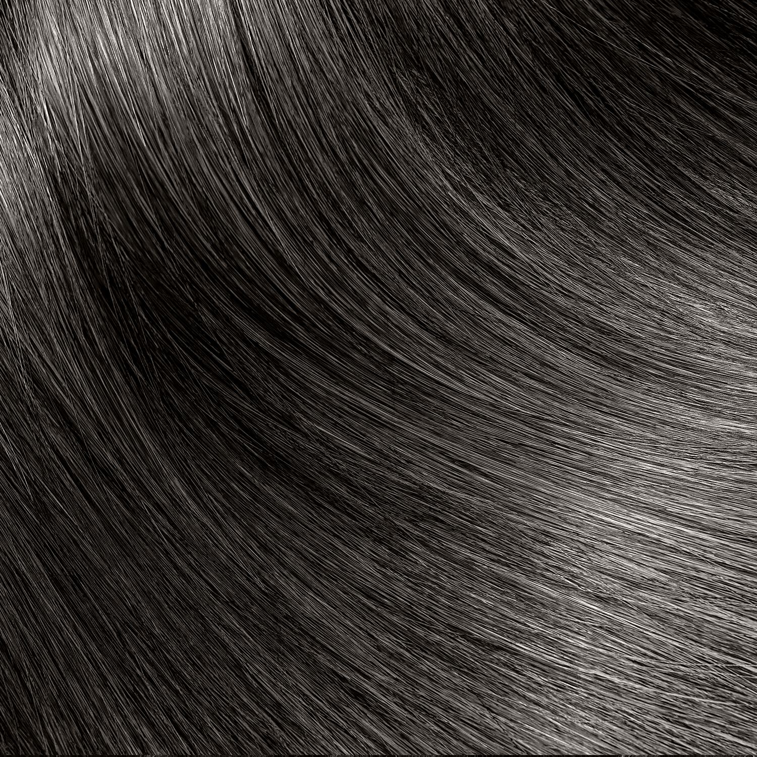 Ion 2N Darkest Brown Permanent Creme Hair Color by Color Brilliance