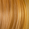 Medium Blonde