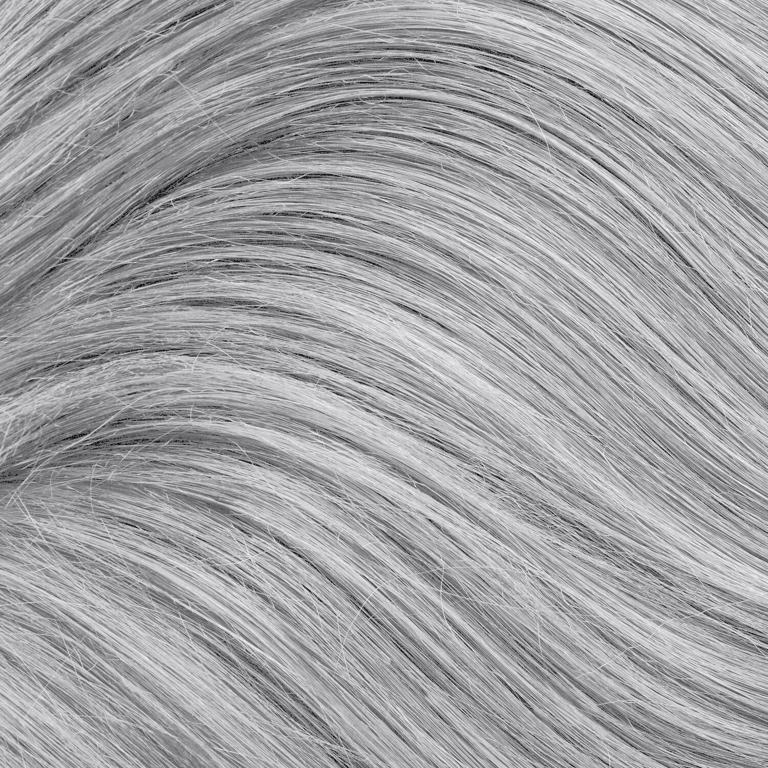 ion-icy-white-bright-white-creme-toners-by-color-brilliance-toners