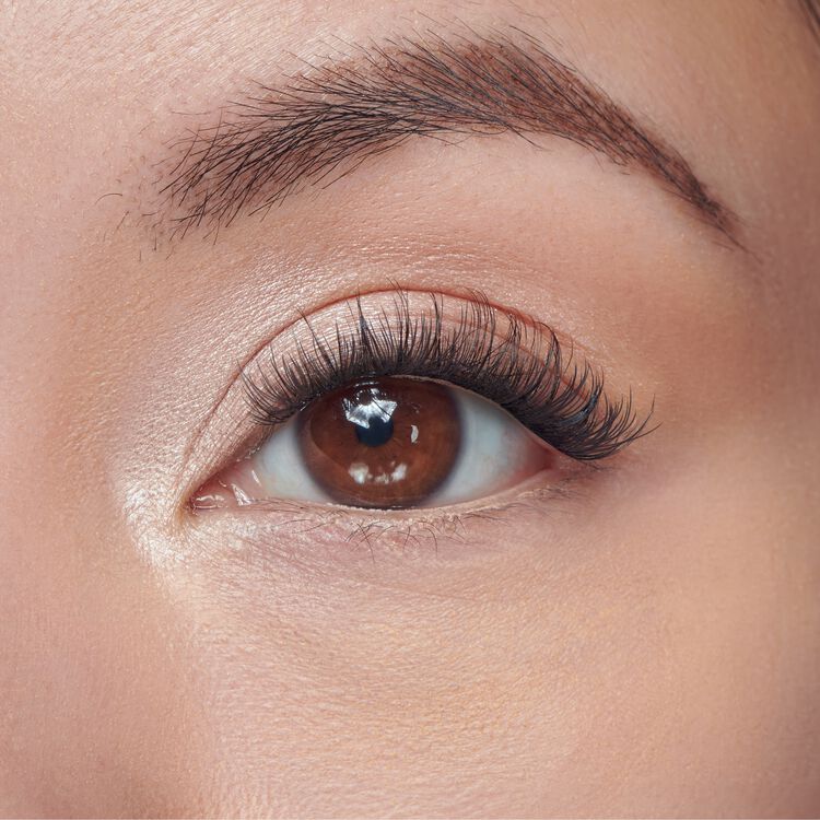 Falscara Studio Kit 01