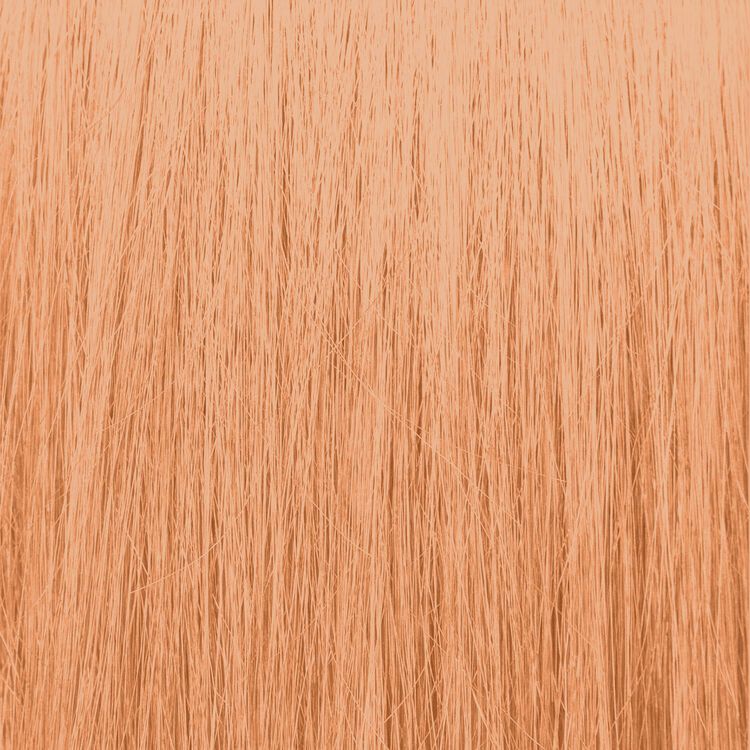 Champagne Bonding Toner Demi-Permanent Hair Color