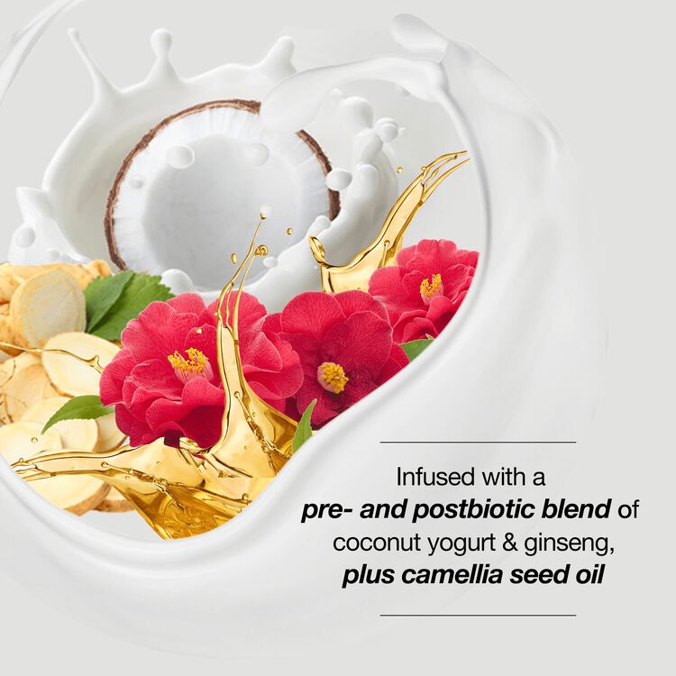 Anti Frizz Conditioner 15.2 fl oz