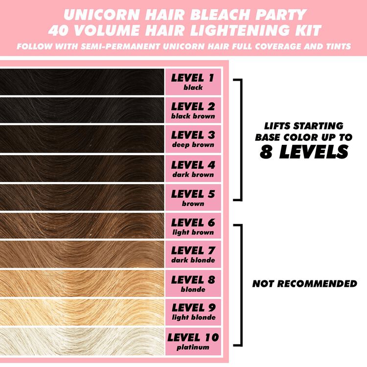 Bleach Party 40 Volume Lightening Kit
