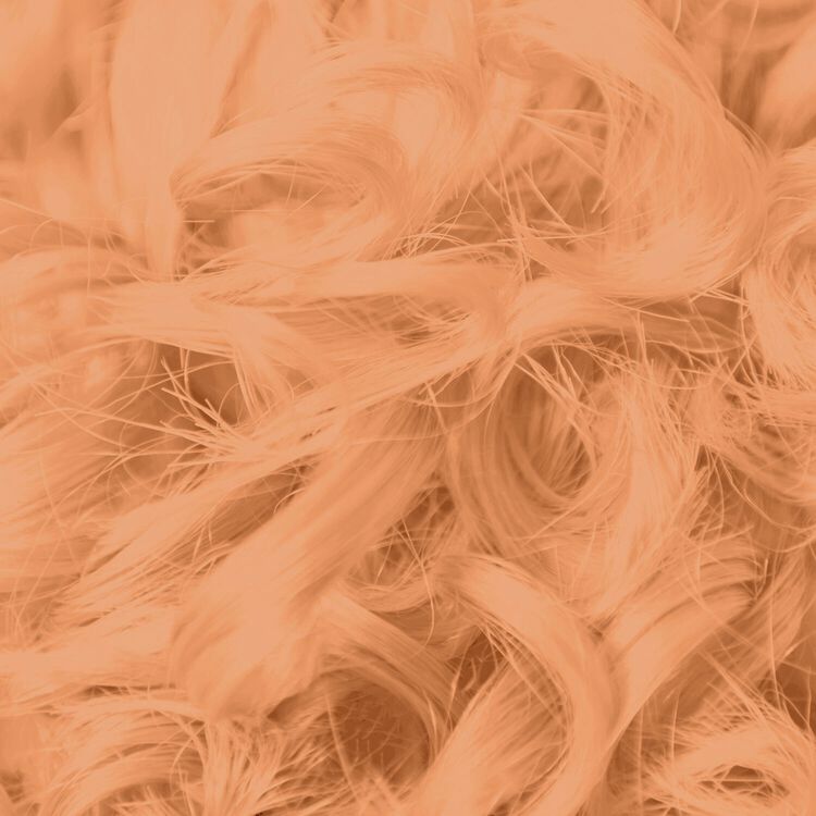 Champagne Bonding Toner Demi-Permanent Hair Color