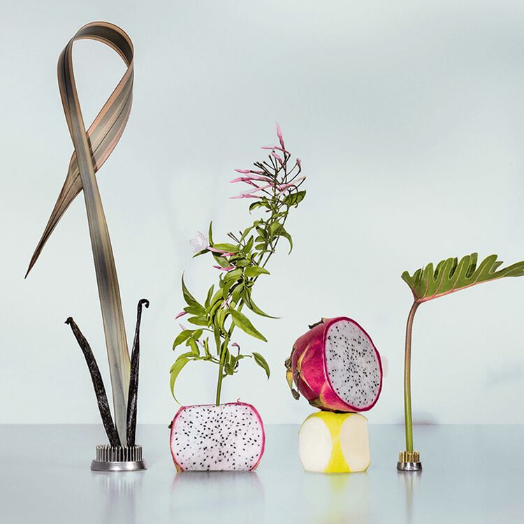 Pink Palm Body Mist 1.69 OZ