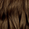 6.5NNA Sondrio Brown