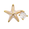 Twinkle Enamel Starfish Charm Gold