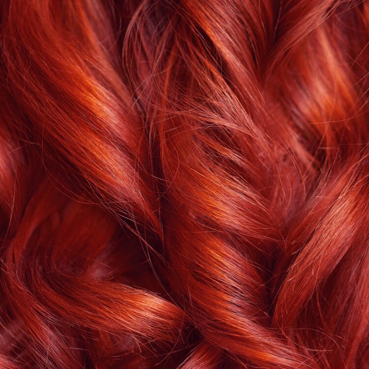 6RV Light Burgundy Blonde Permanent Creme Hair Color