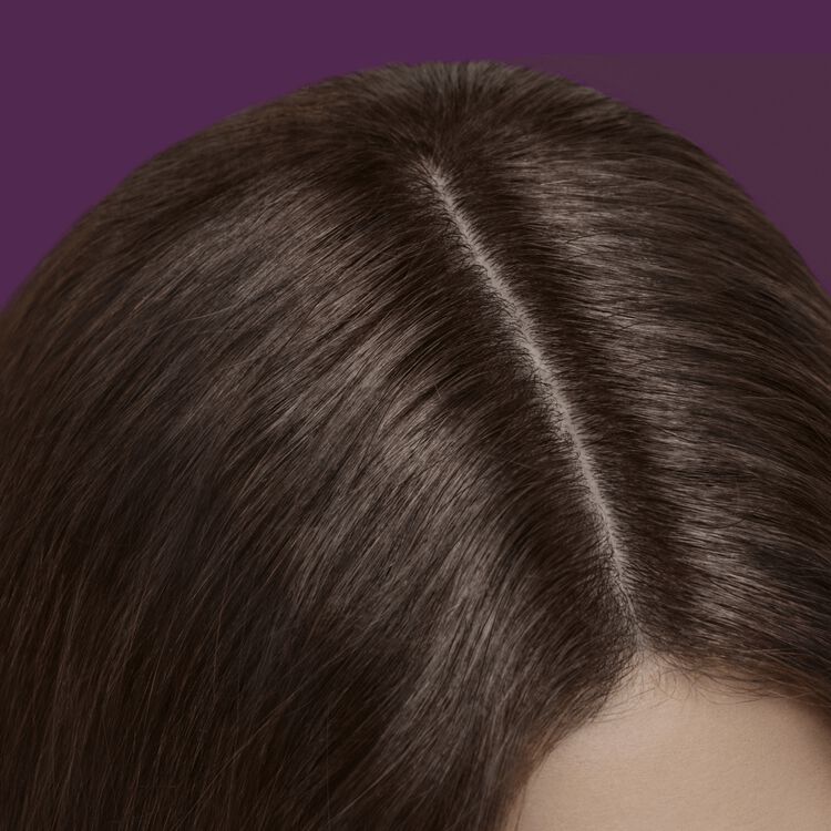 Root Perfection Root Touch Up Permanent Hair Color Kit 6N Savoca Medium Brown