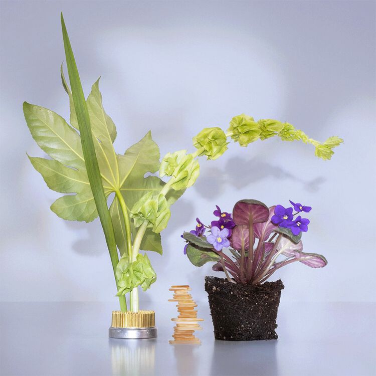 Magnolia Violet Body Mist 5 OZ