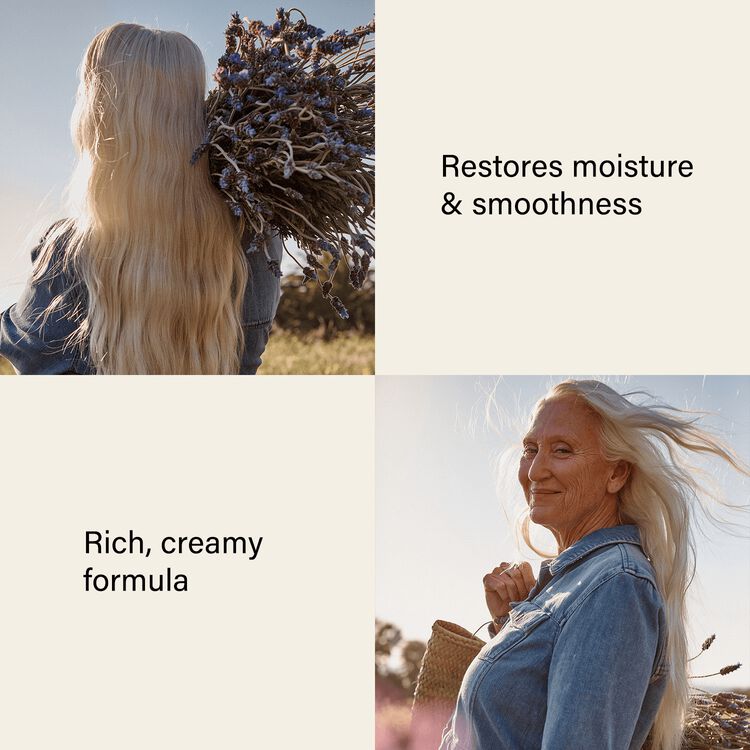 Lavender Overnight Mask