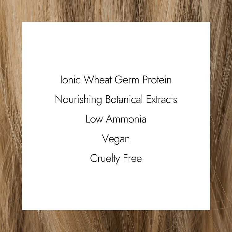 Ion 8N Light Blonde Permanent Creme Hair Color by Color