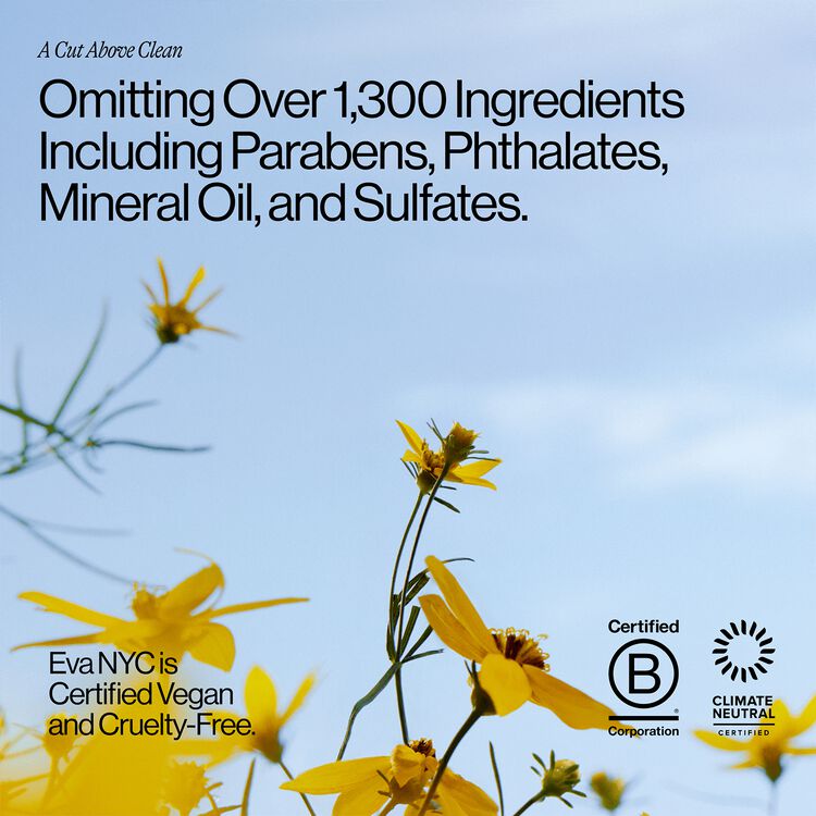 Take Care Healthy Hair Conditioner