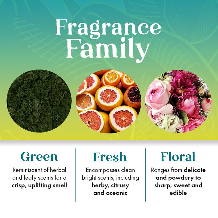 Avocado & Tamanu Anti-Frizz Shampoo 12 oz