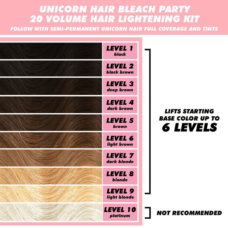 Bleach Party 20 Volume Lightening Kit