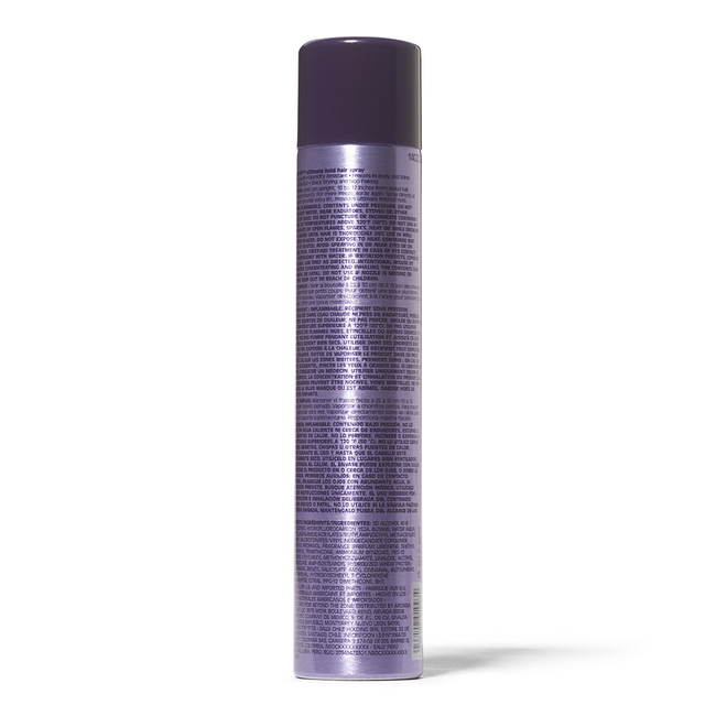 Beyond the Zone Frozen Stiff Ultimate Hold Hair Spray