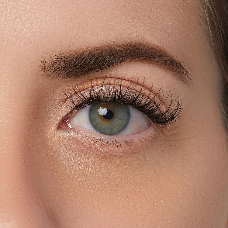 Falscara Eyelash Starter Kit 01