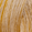 Natural Blonde