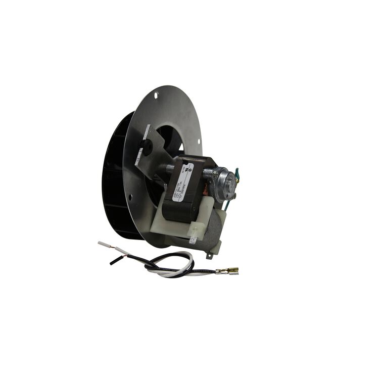 2150A Dryer Motor/Blower Assembly