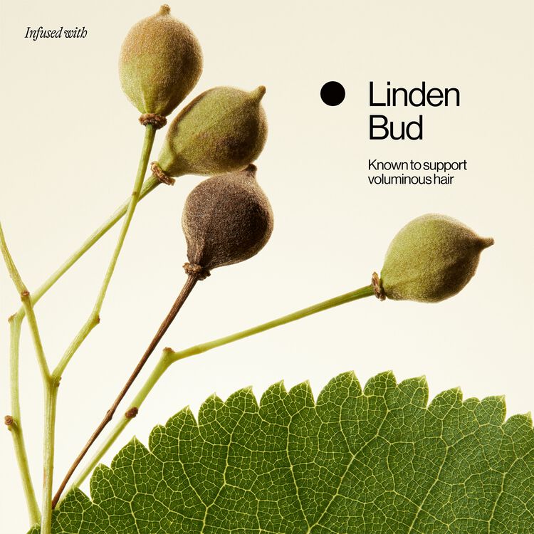 Lift Off Volume Conditioner 10 oz