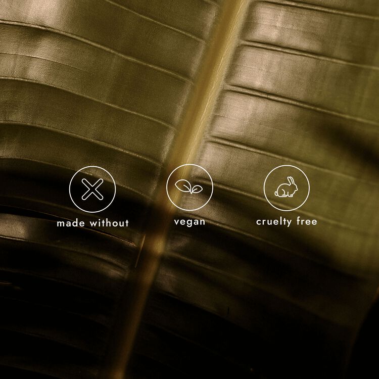 Eucalyptus Balancing Conditioner