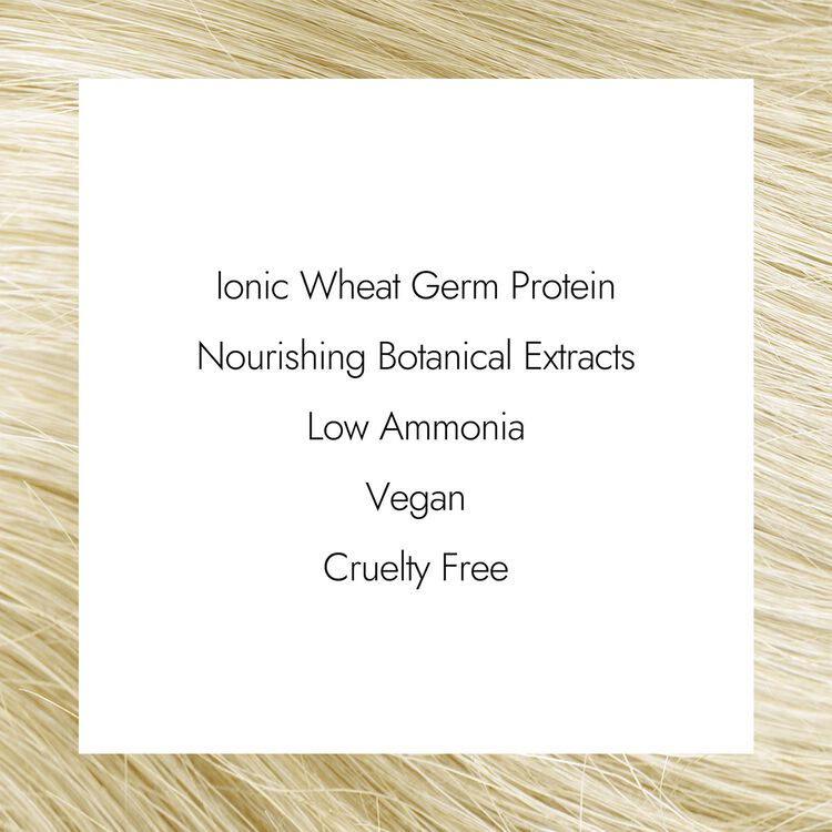 HL-N High Lift Natural Blonde Permanent Creme Hair Color