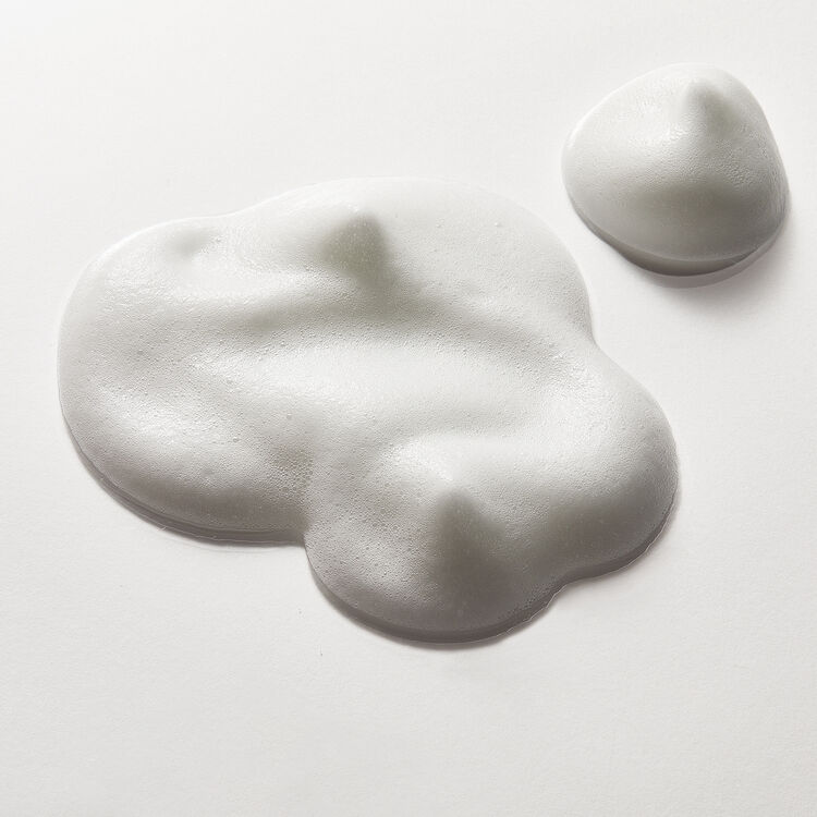 Volumizing Shine Enhancing Mousse