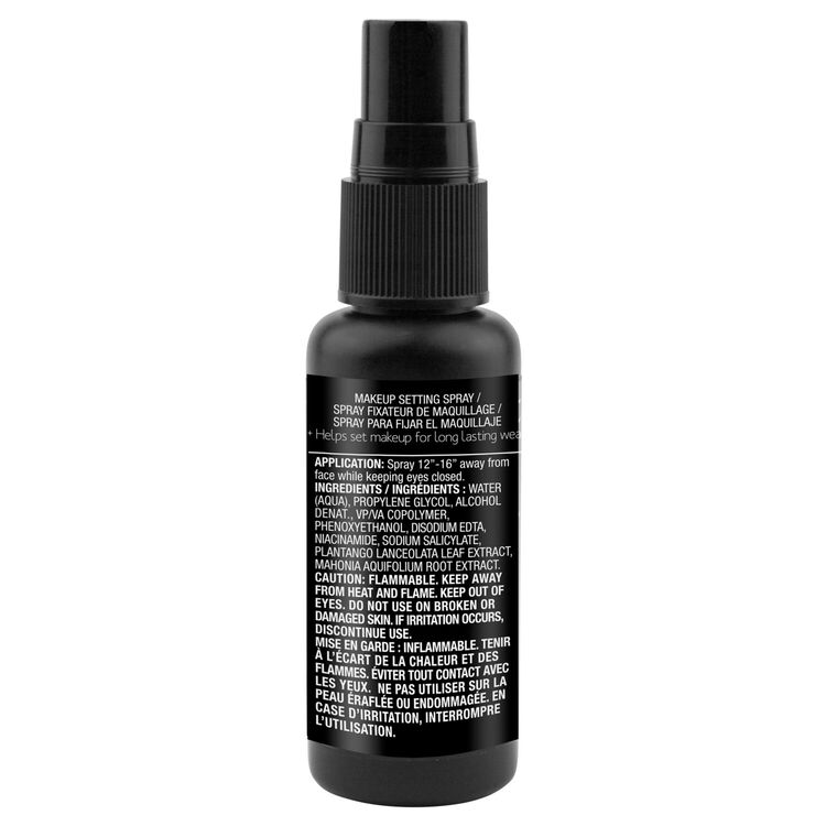 Pro.Setting HD Matte Finish Spray