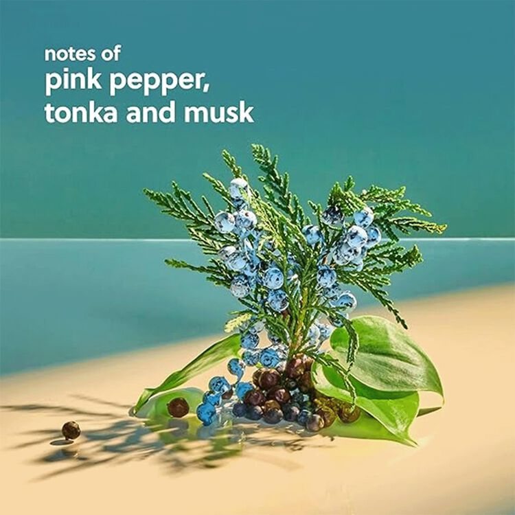 Shea Sugar Scrub Blue Musk