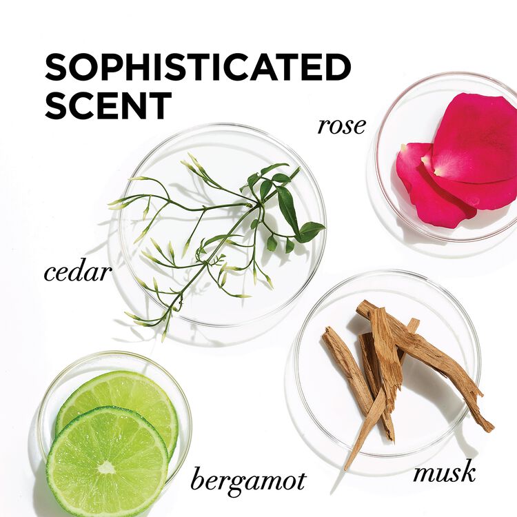 EverPure Moisture Conditioner