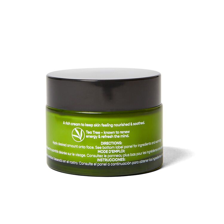 Balancing Face Moisturizer