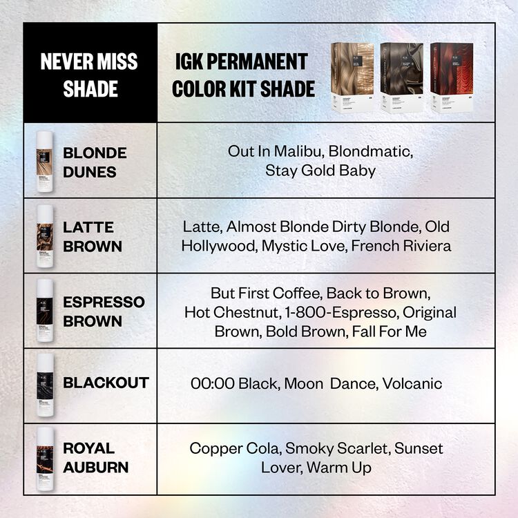 Blackout Never Miss Root Touch Up Spray