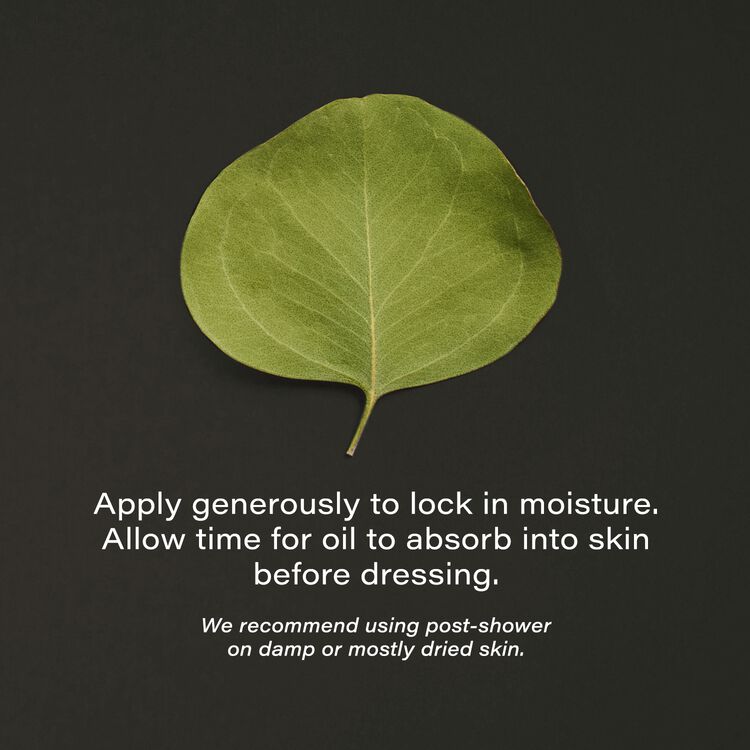 Balancing Dry Body Oil