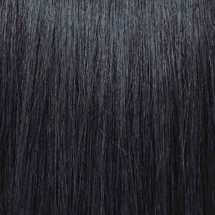 1B Blue Black Brilliant 12 Permanent Gloss Hair Color
