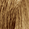 #9 Light Blonde