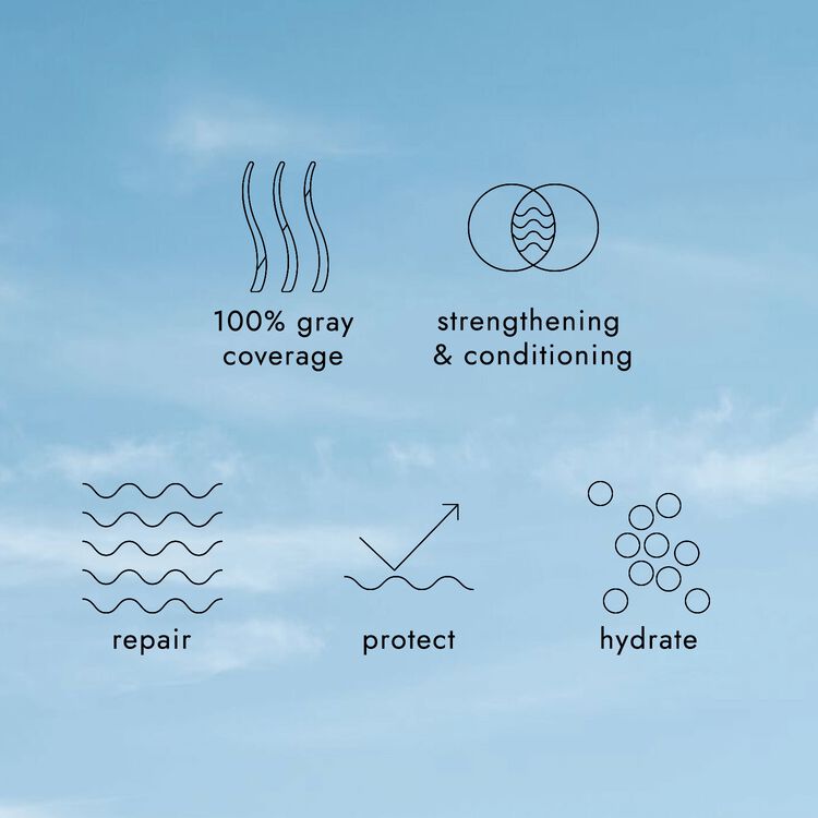 HL-A High Lift Ash Blonde Bonding Permanent Crème Hair Color