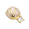 Twinkle Enamel Seashell Charm Gold