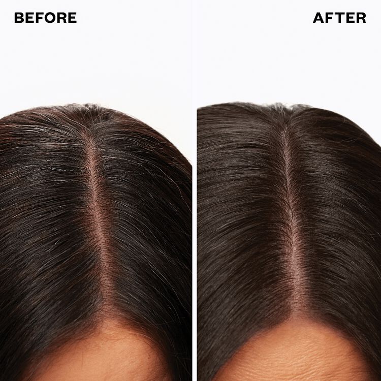 Back To Brown Permanent Color Kit