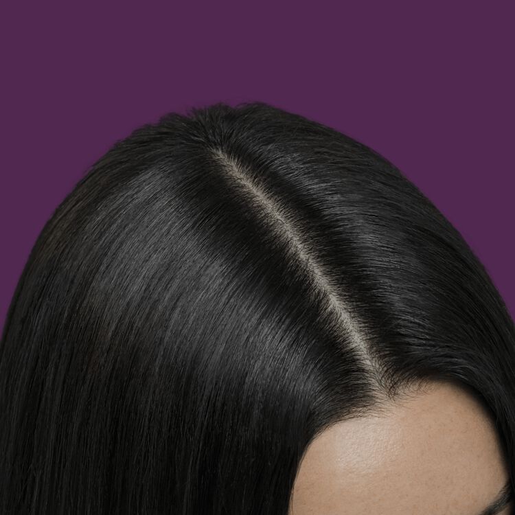 Root Perfection Root Touch Up Permanent Hair Color Kit 3N Corato Black