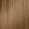 8NWB Medium Neutral Warm Beige Blonde