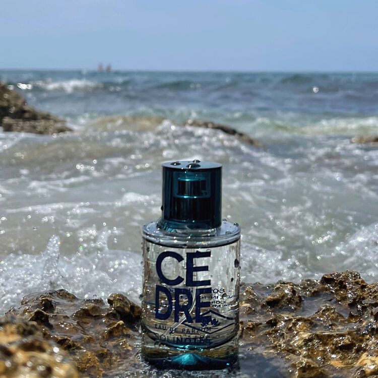 Cedar Wood Eau de Parfum
