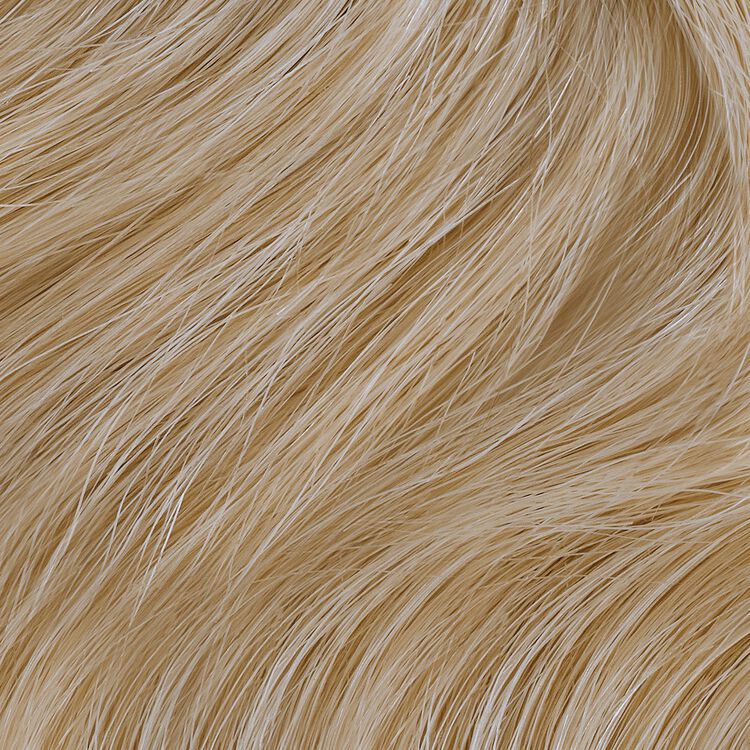 10GN Lightest Gold Neutral Blonde Permanent Liquid Hair Color