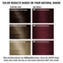 AGEbeautiful 4RV Dark Red Violet Brown Permanent Liqui Crème Hair Color ...