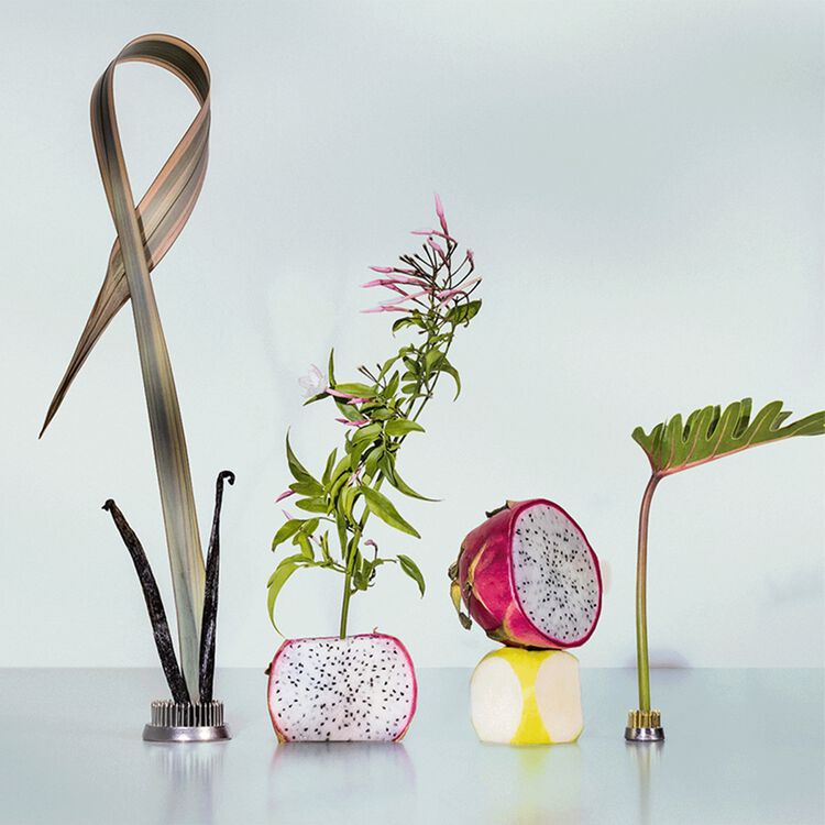 Pink Palm Body Mist 5 OZ