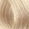 #9X.1 Extra Light Ash Blonde
