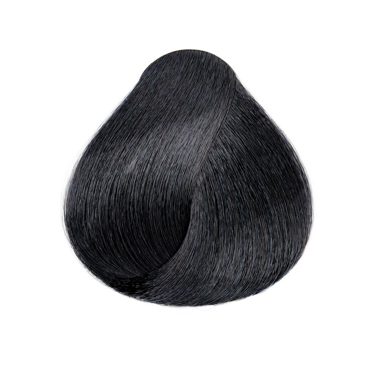 H21 Black Onyx Permanent Hair Color