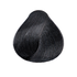H21 Black Onyx Permanent Hair Color