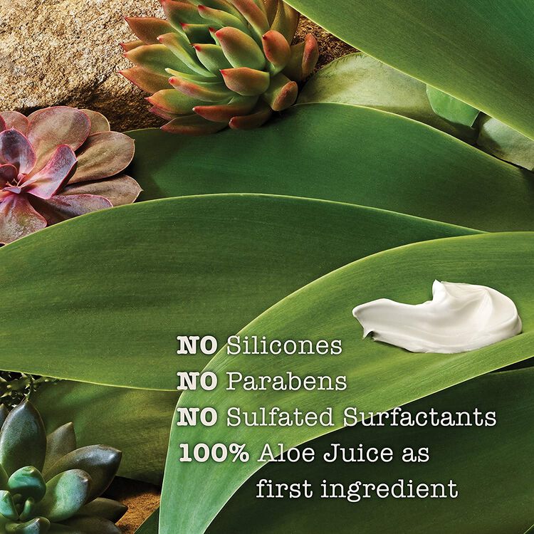 Lightweight Hydration Hibiscus Water Shampoo