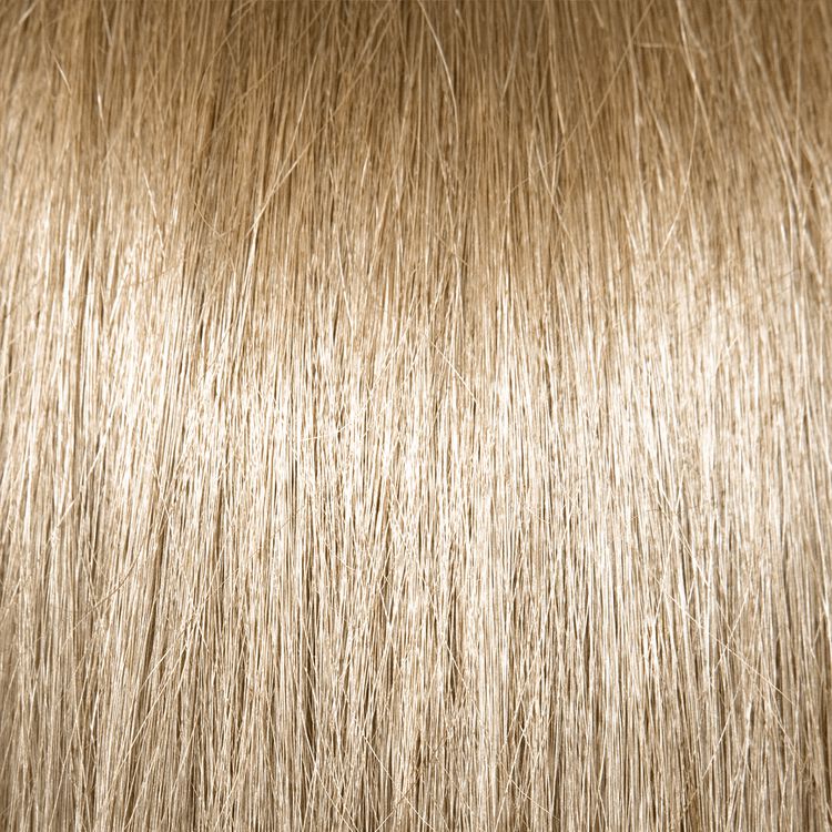 10V Lightest Cool Blonde Permanent Creme Hair Color